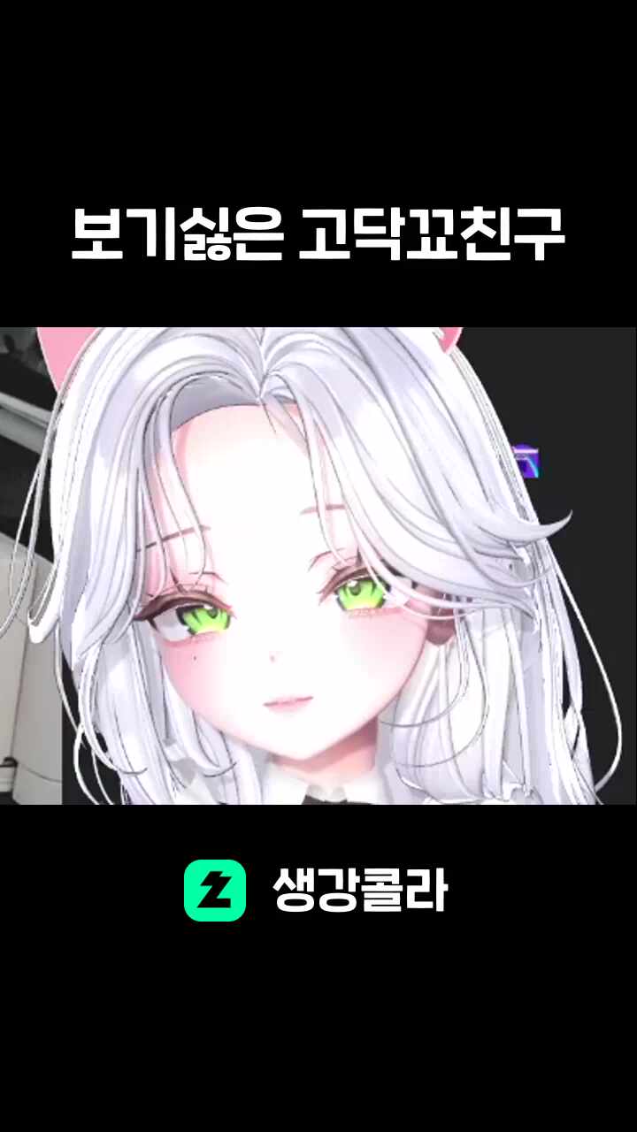보기싫은 고닥꾜친구