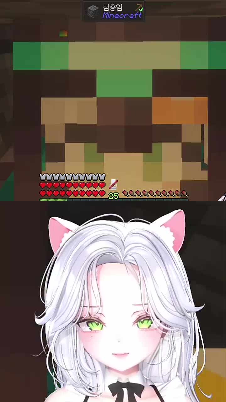 네더라이트셋 첫경험