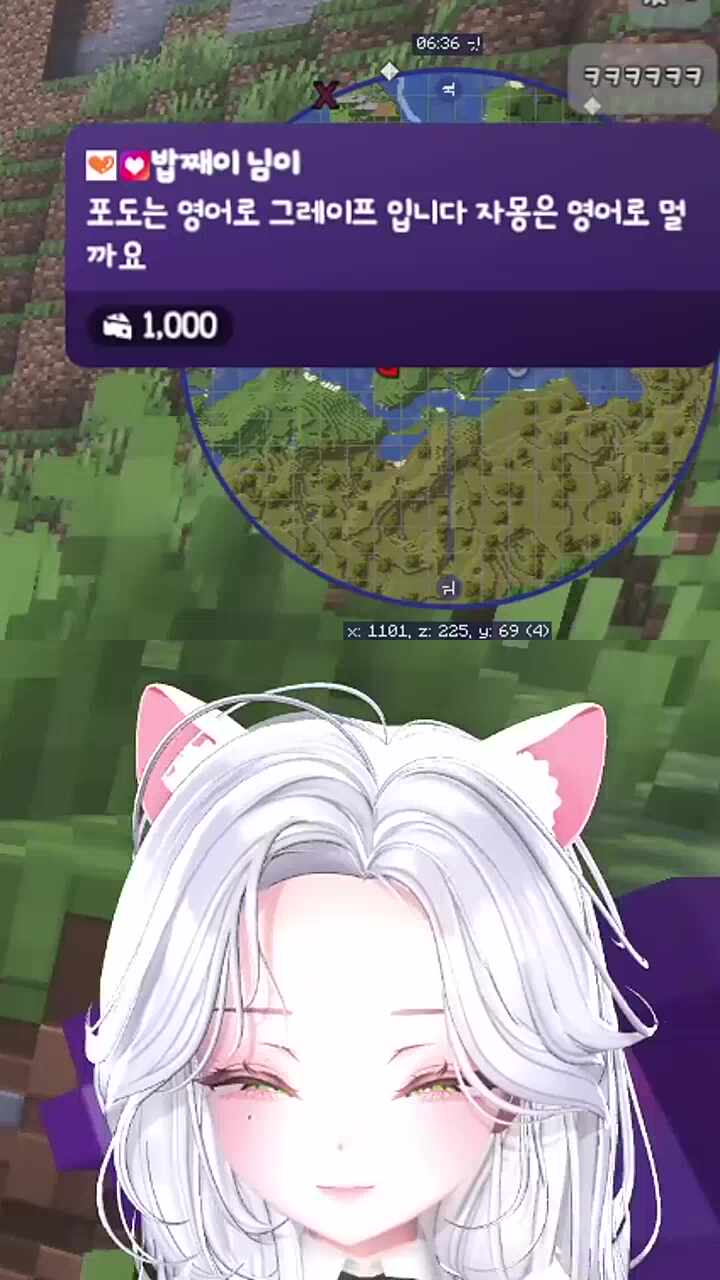 자몽은 빅 오렌지? 레드 오렌지?