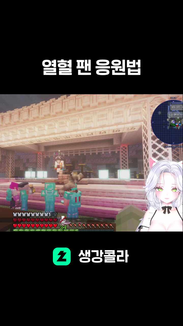 열혈 팬 응원법