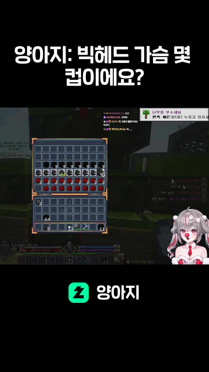 양아지: 빅헤드 가슴 몇 컵이에요?