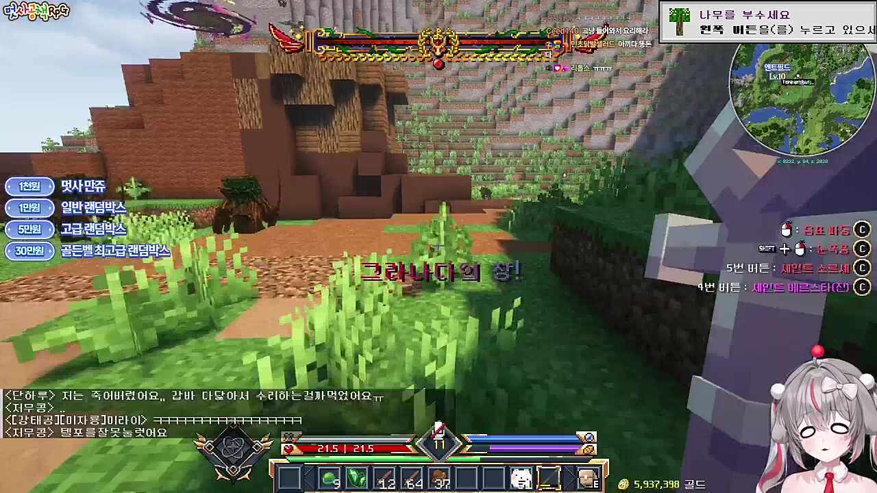 허접 도태 양아지