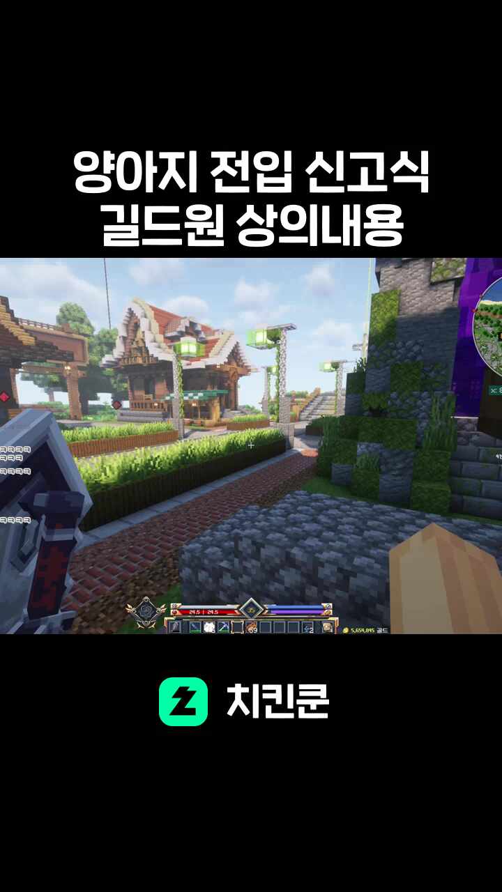 양아지 전입 신고식 길드원 상의내용