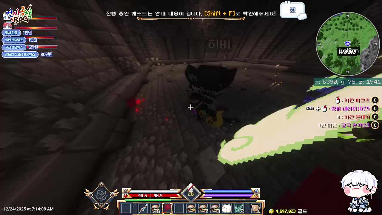 레전드 귀여운 고양이 놀아주기