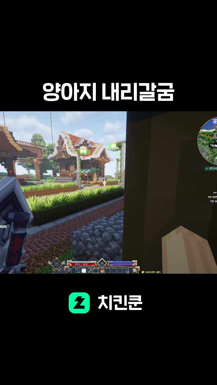 양아지 내리갈굼