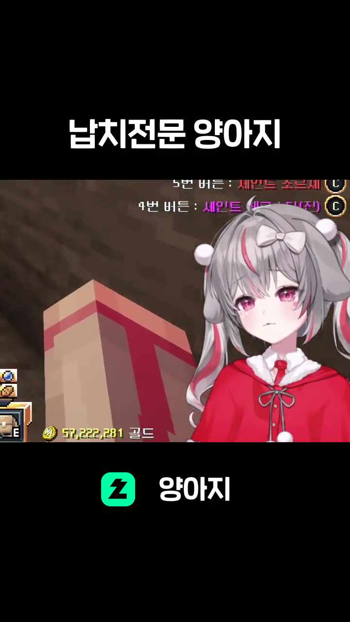 납치전문 양아지