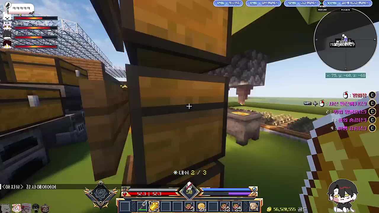 황금 양배추 쟁탈전