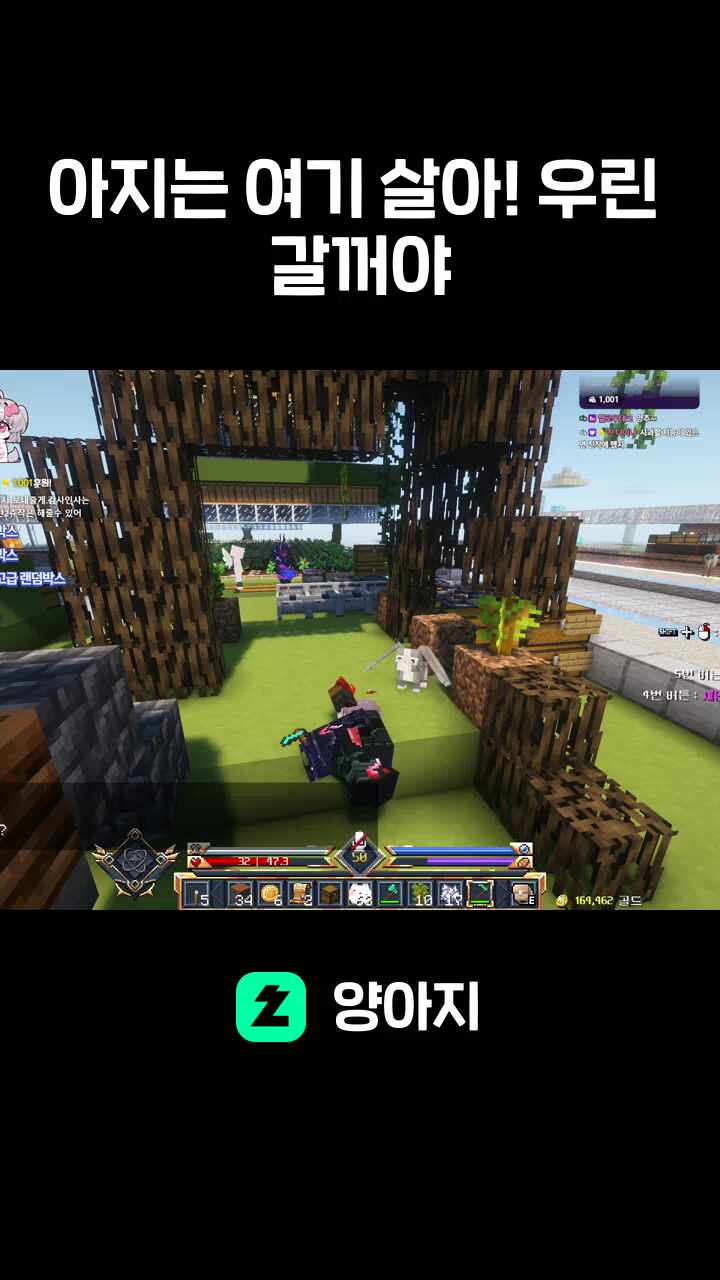 아지는 여기 살아! 우린 갈꺼야