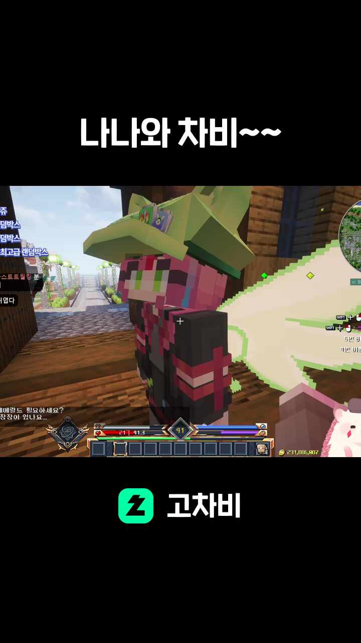 나나와 차비~~