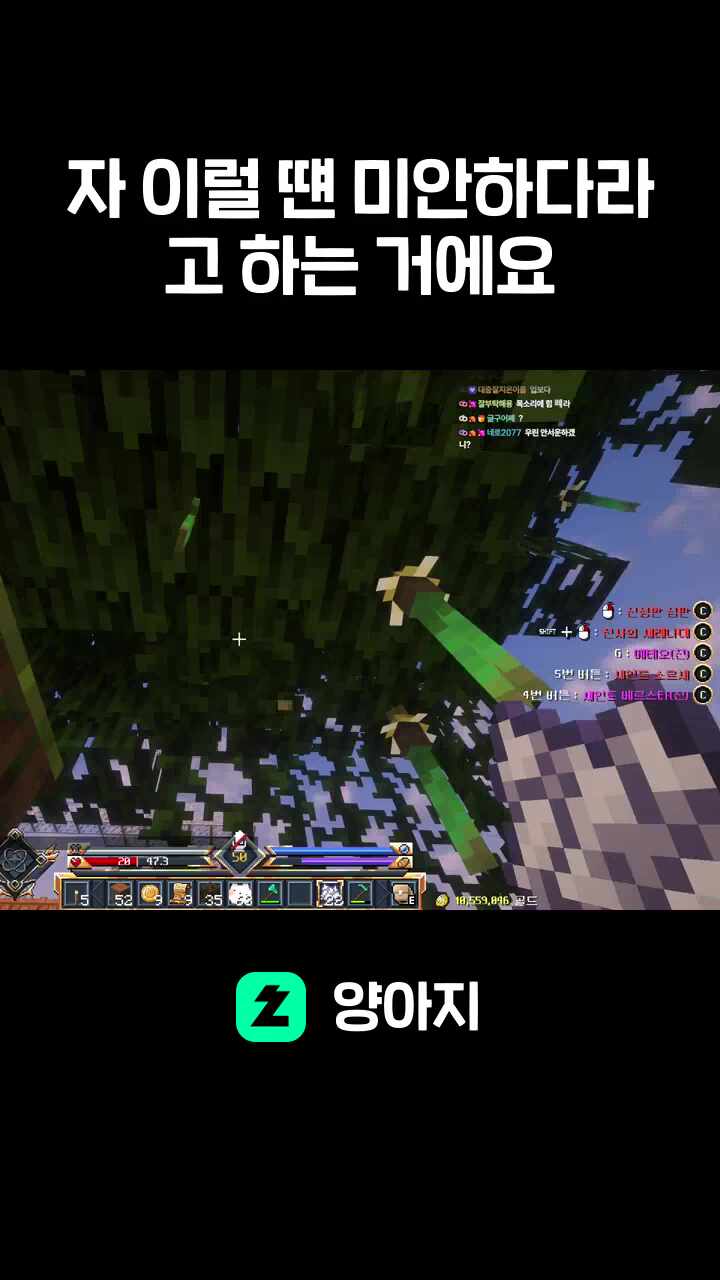 자 이럴 떈 미안하다라고 하는 거에요