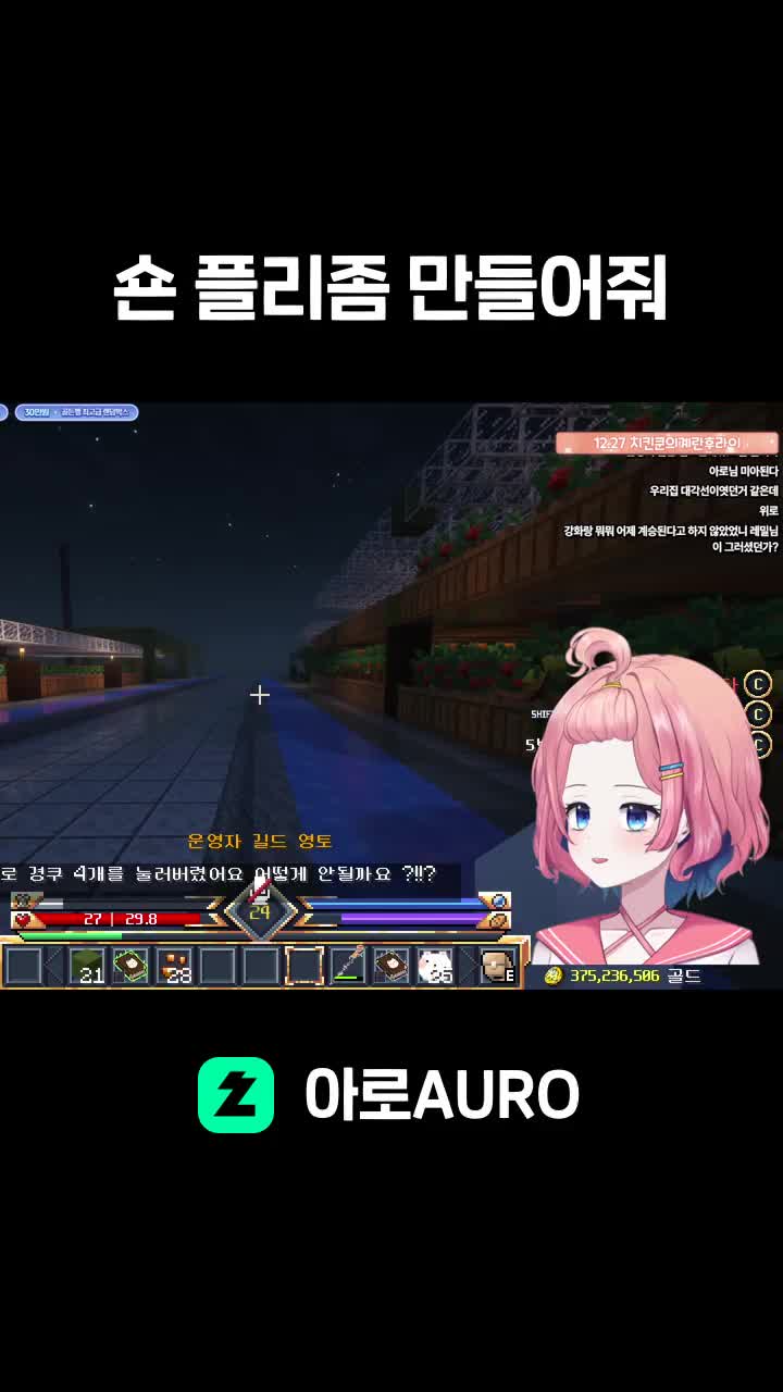 숀 플리좀 만들어줘