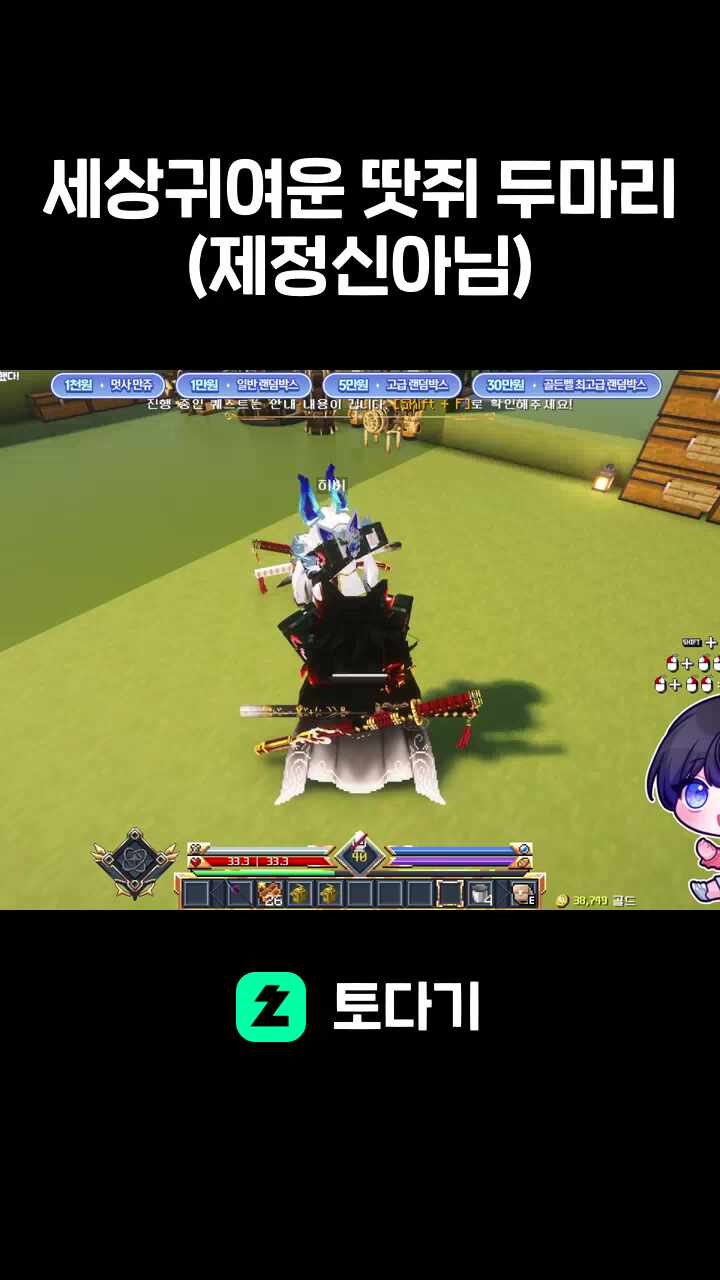 세상귀여운 땃쥐 두마리(제정신아님)