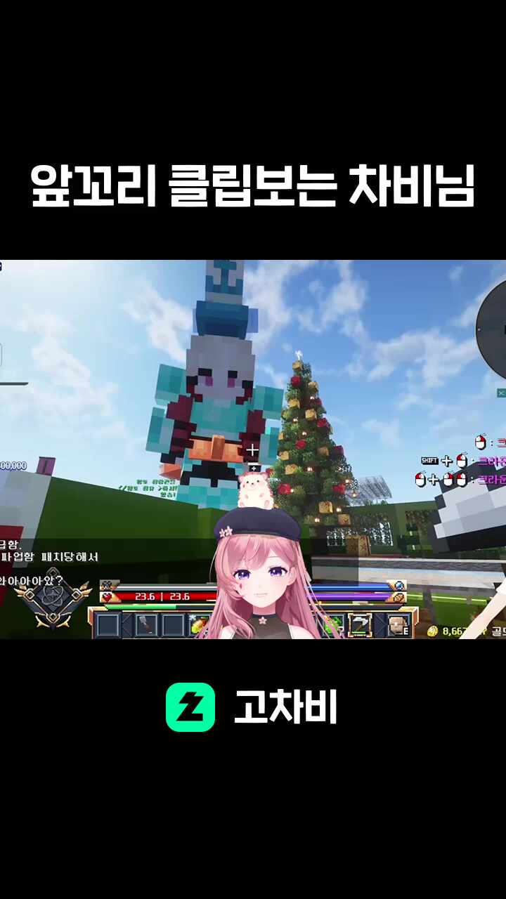 앞꼬리 클립보는 차비님