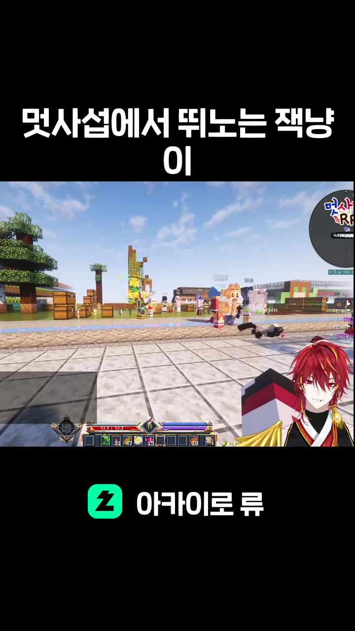 멋사섭에서 뛰노는 잭냥이