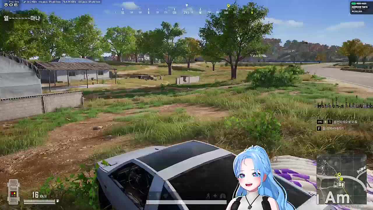 무임승차 하는 엘시