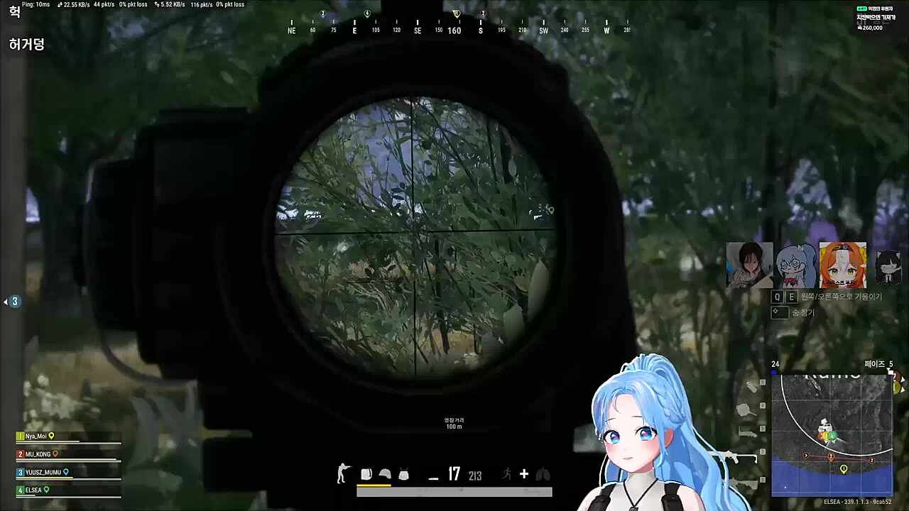 자낳대 배그 대회