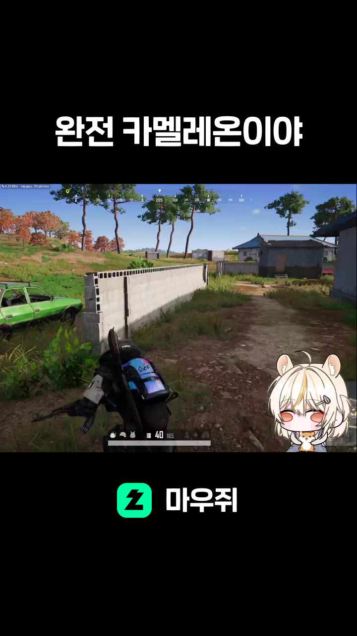 완전 카멜레온이야