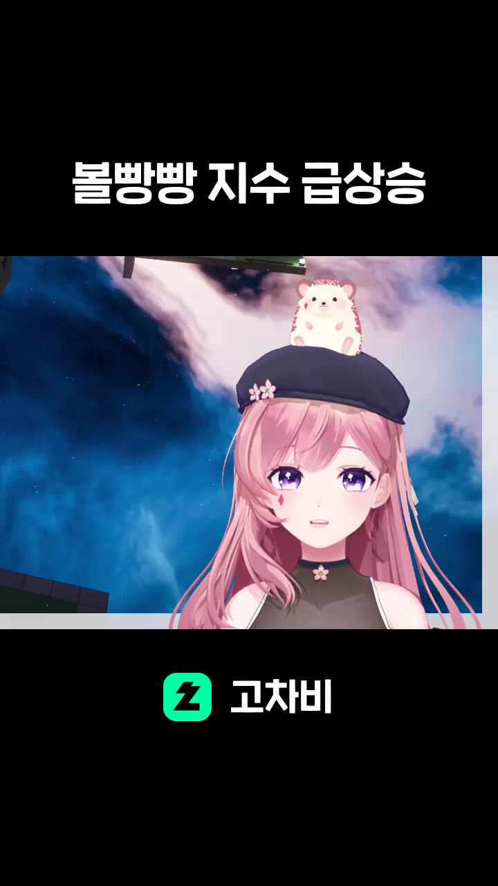 볼빵빵 지수 급상승