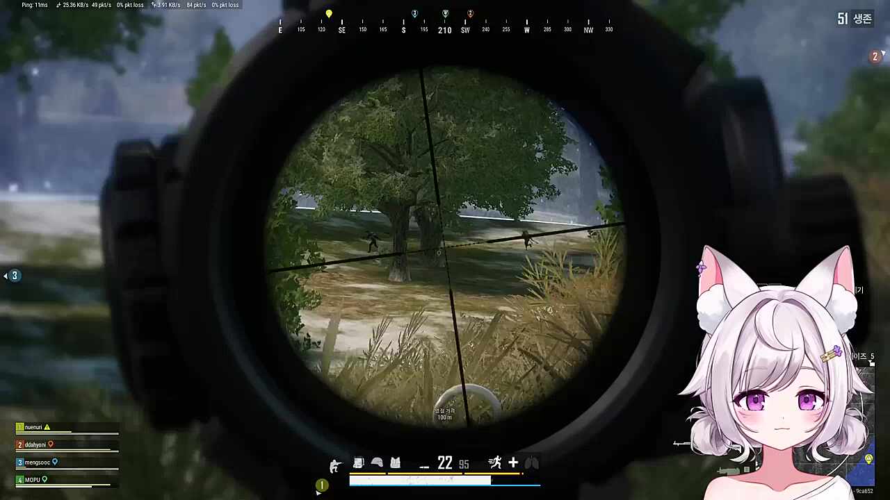 자낳대 배그 대회