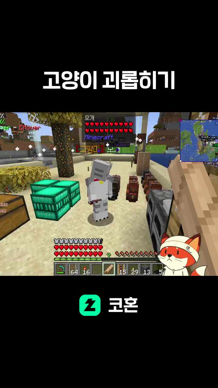 고양이 괴롭히기