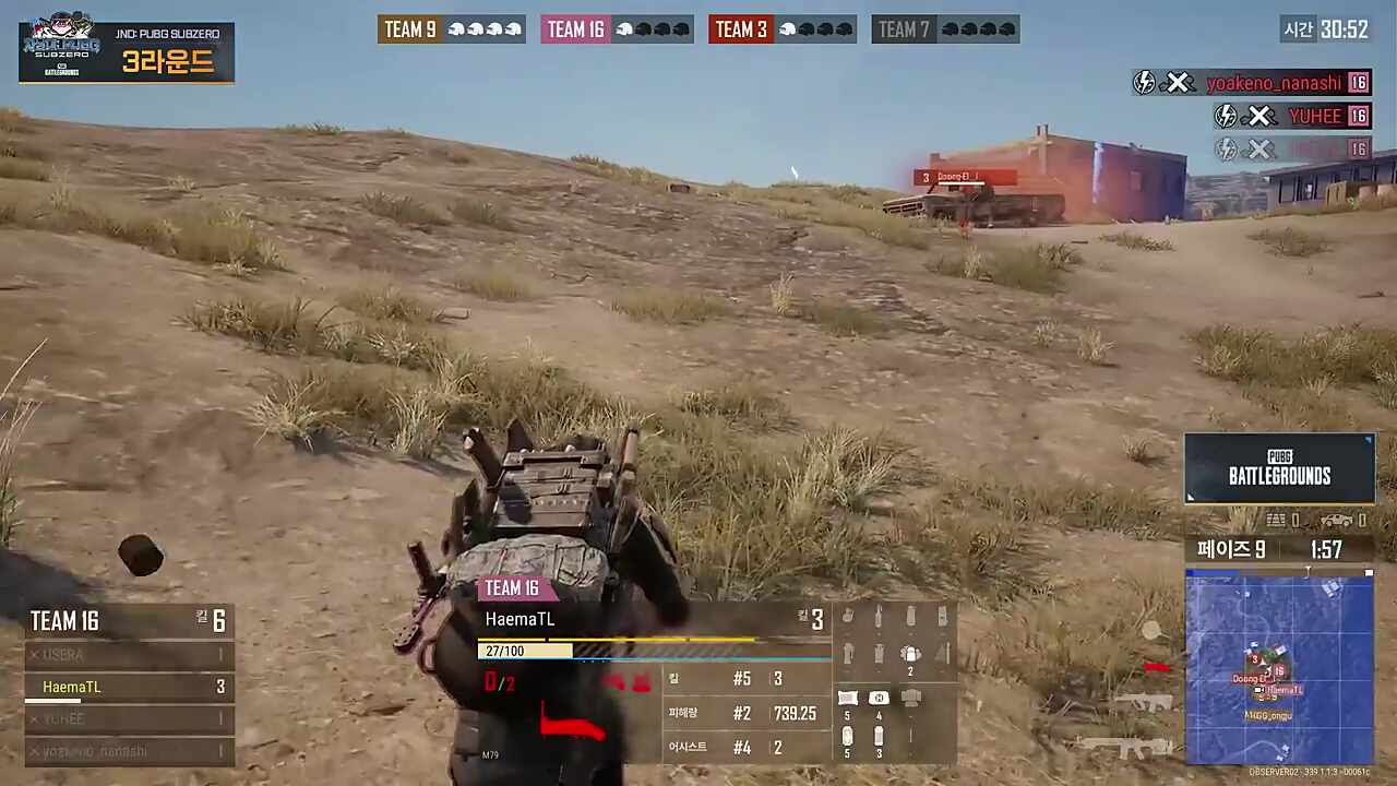 둥이는 1티어다