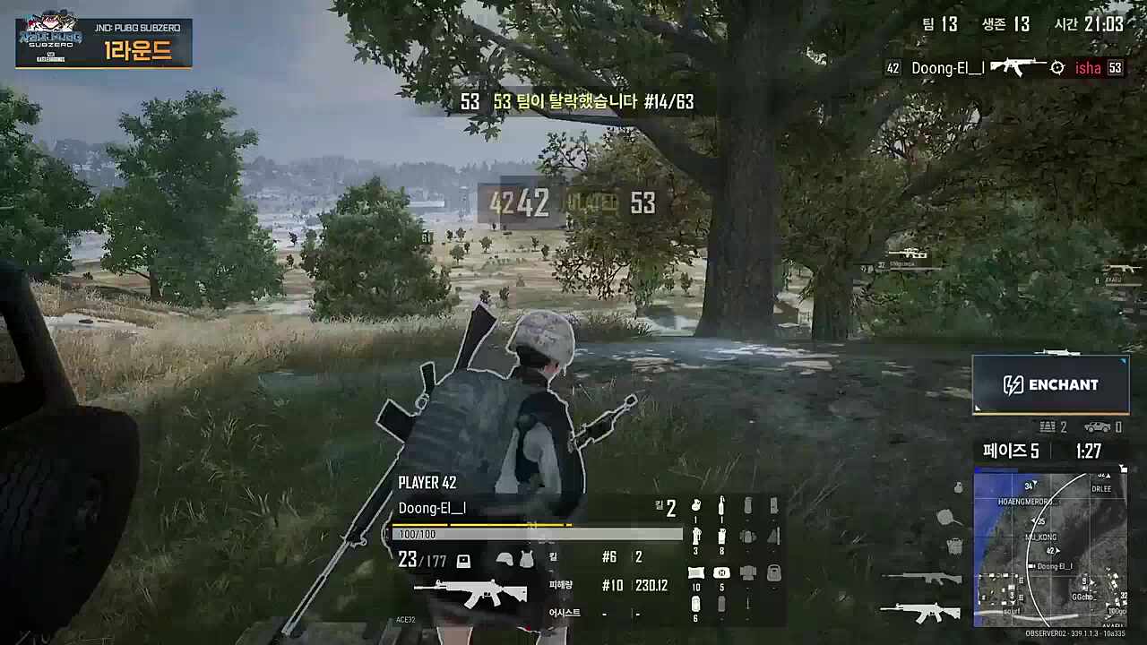 미르가 칭찬하는 둥이