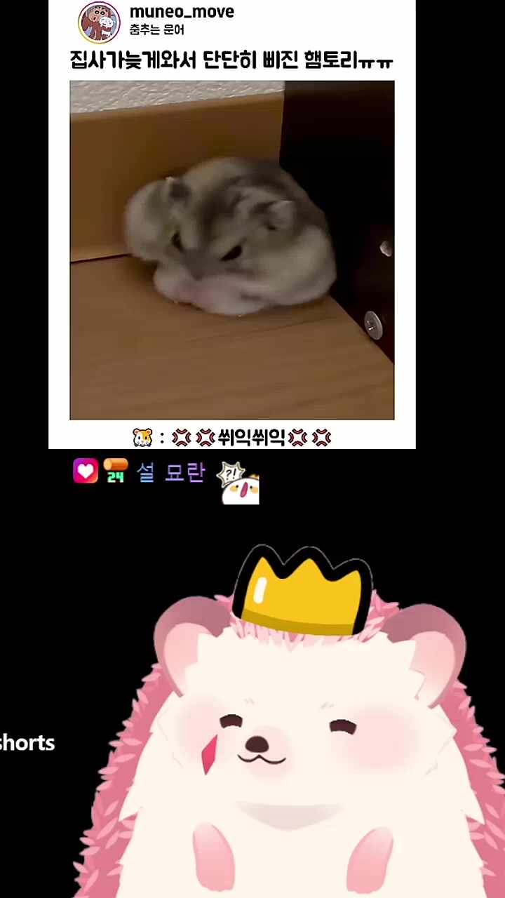 귀여운 생물에 몸둘 바를 모르는 귀여운 생물