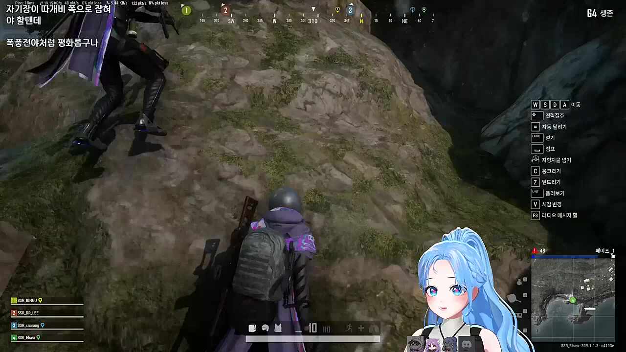 자낳대 PUBG