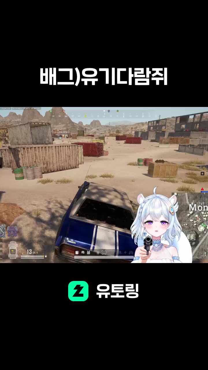 배그)유기다람쥐