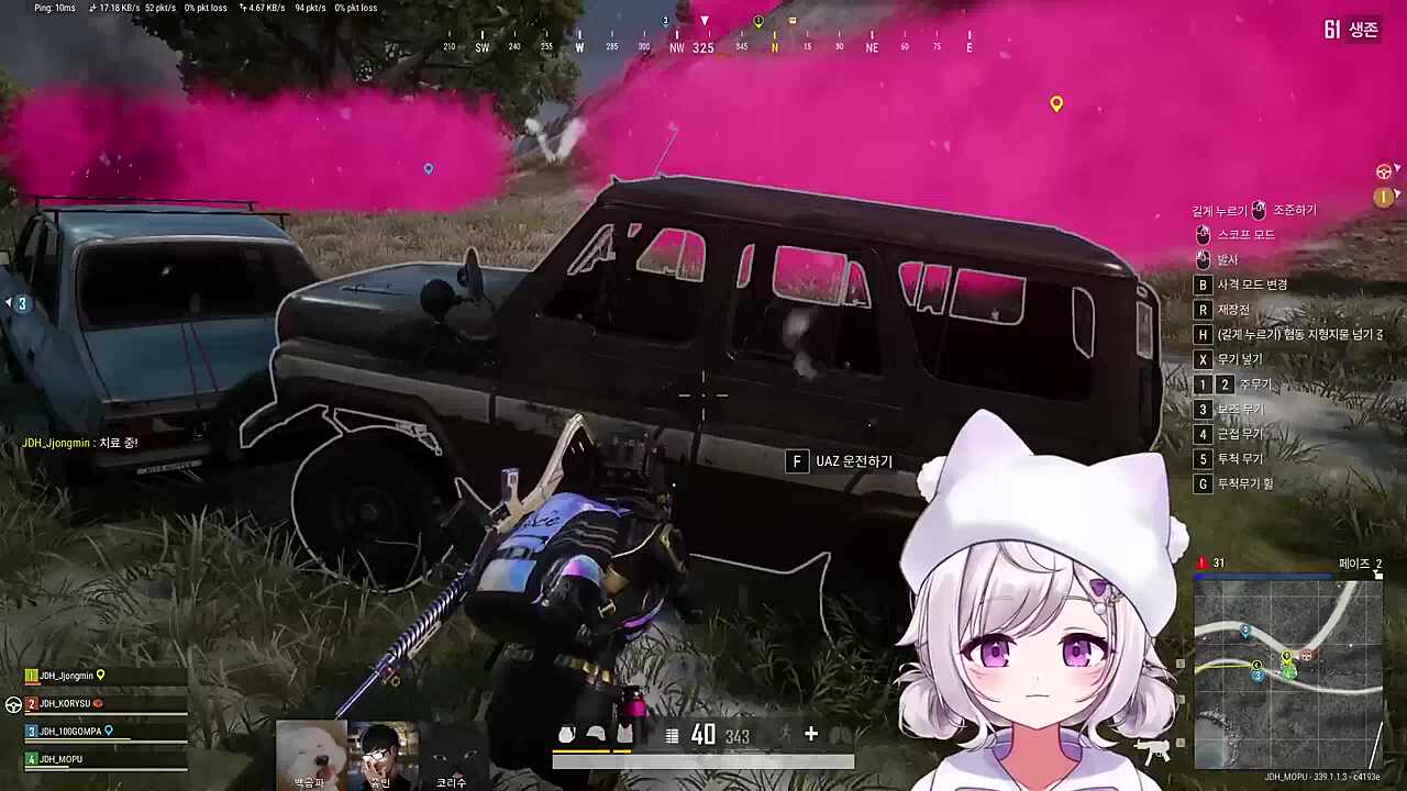 자낳대 PUBG
