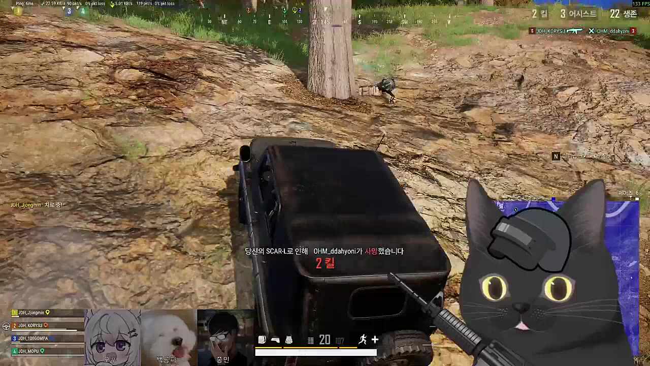 상 태토 김코냥