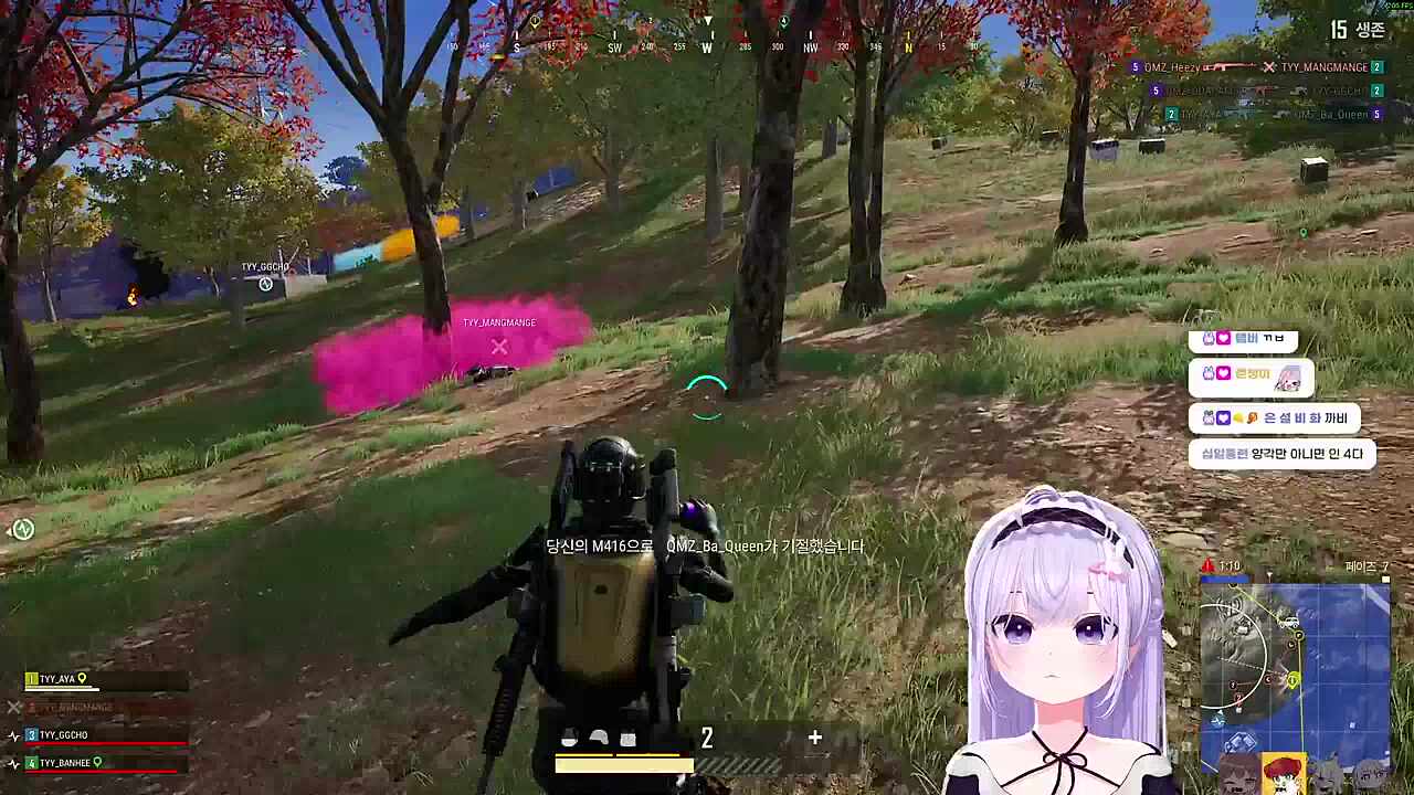 자낳대 PUBG