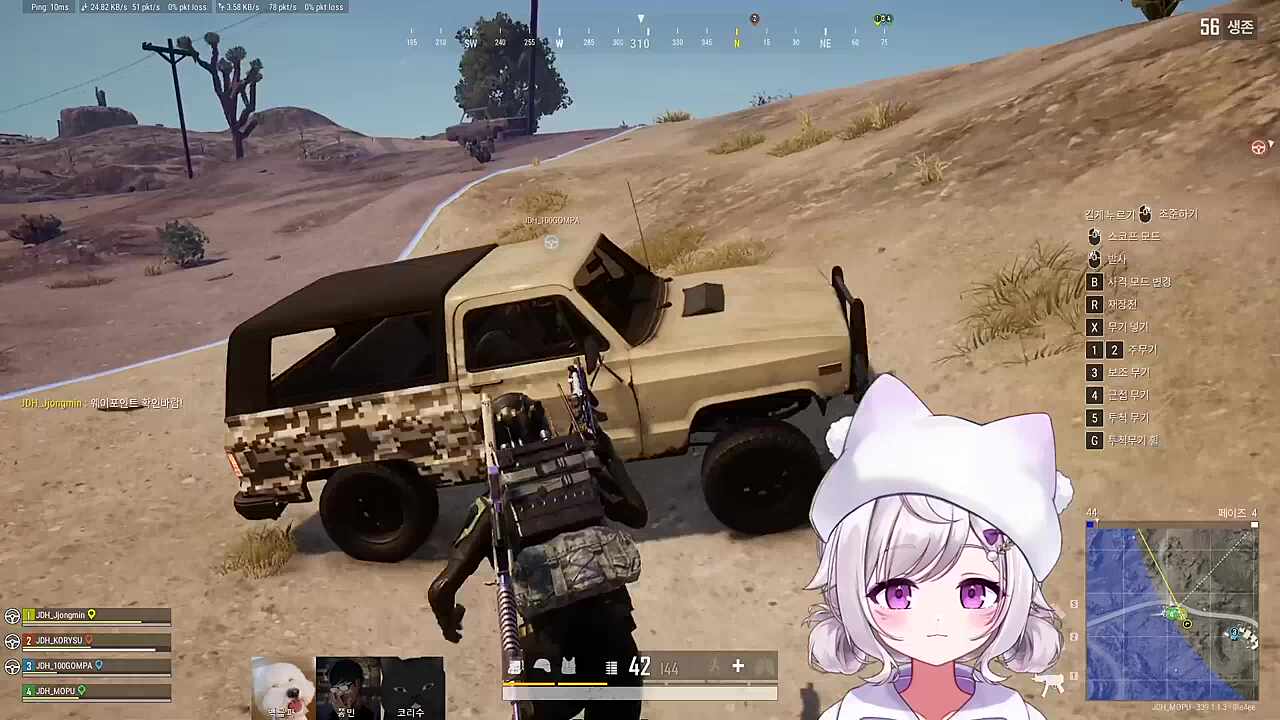 자낳대 PUBG