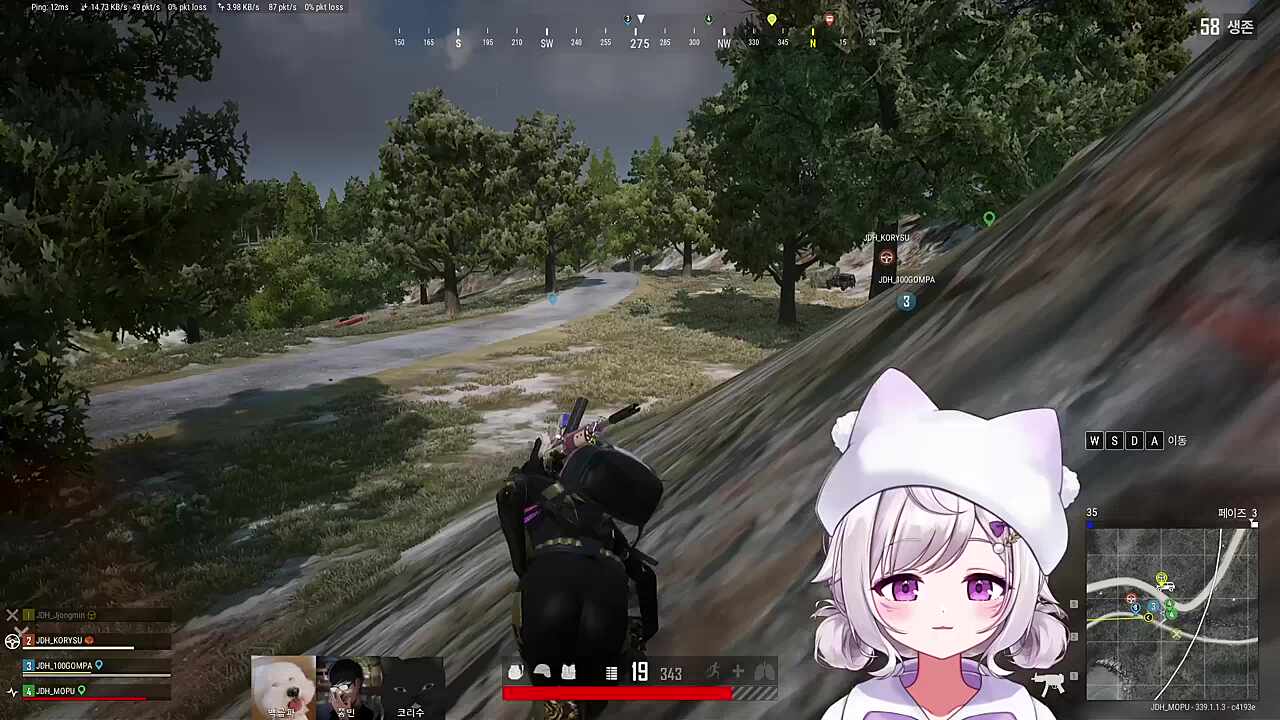 자낳대 PUBG