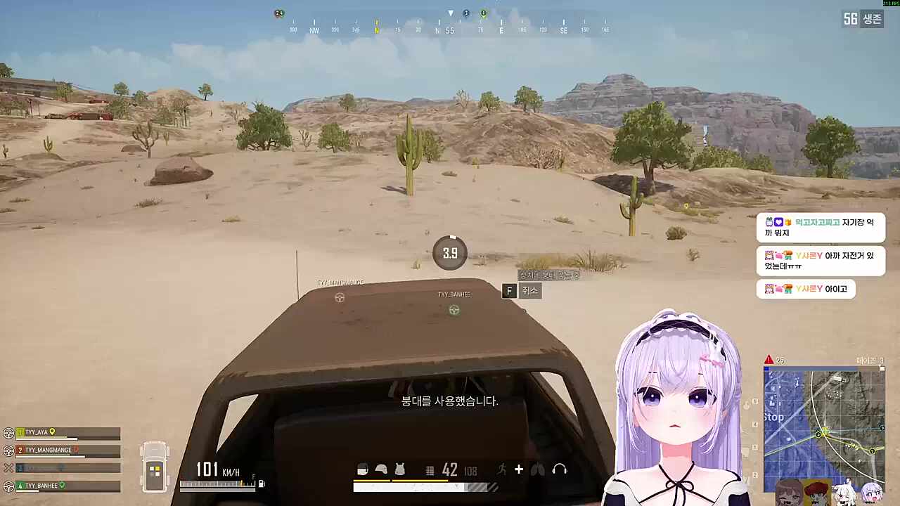 자낳대 PUBG