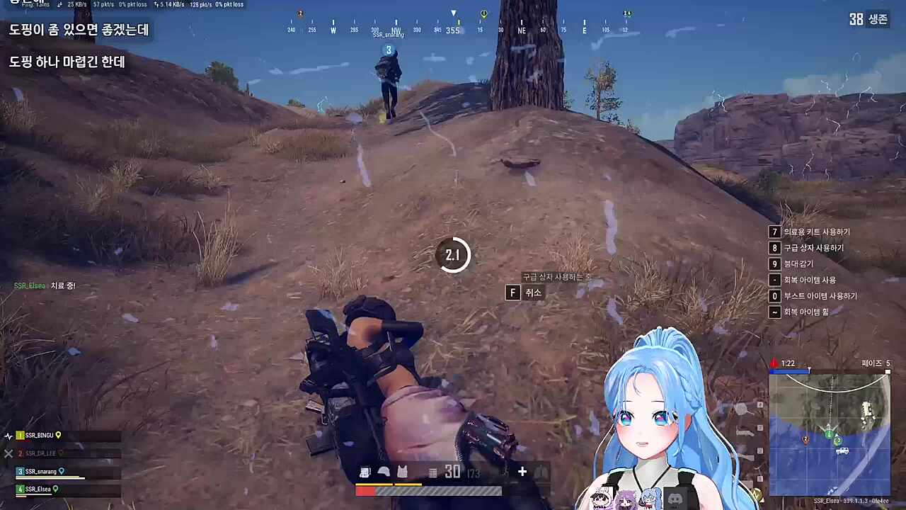 자낳대 PUBG