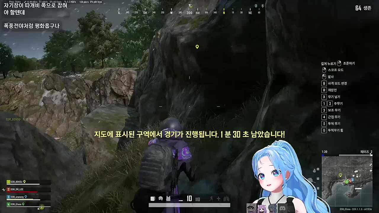 자낳대 PUBG
