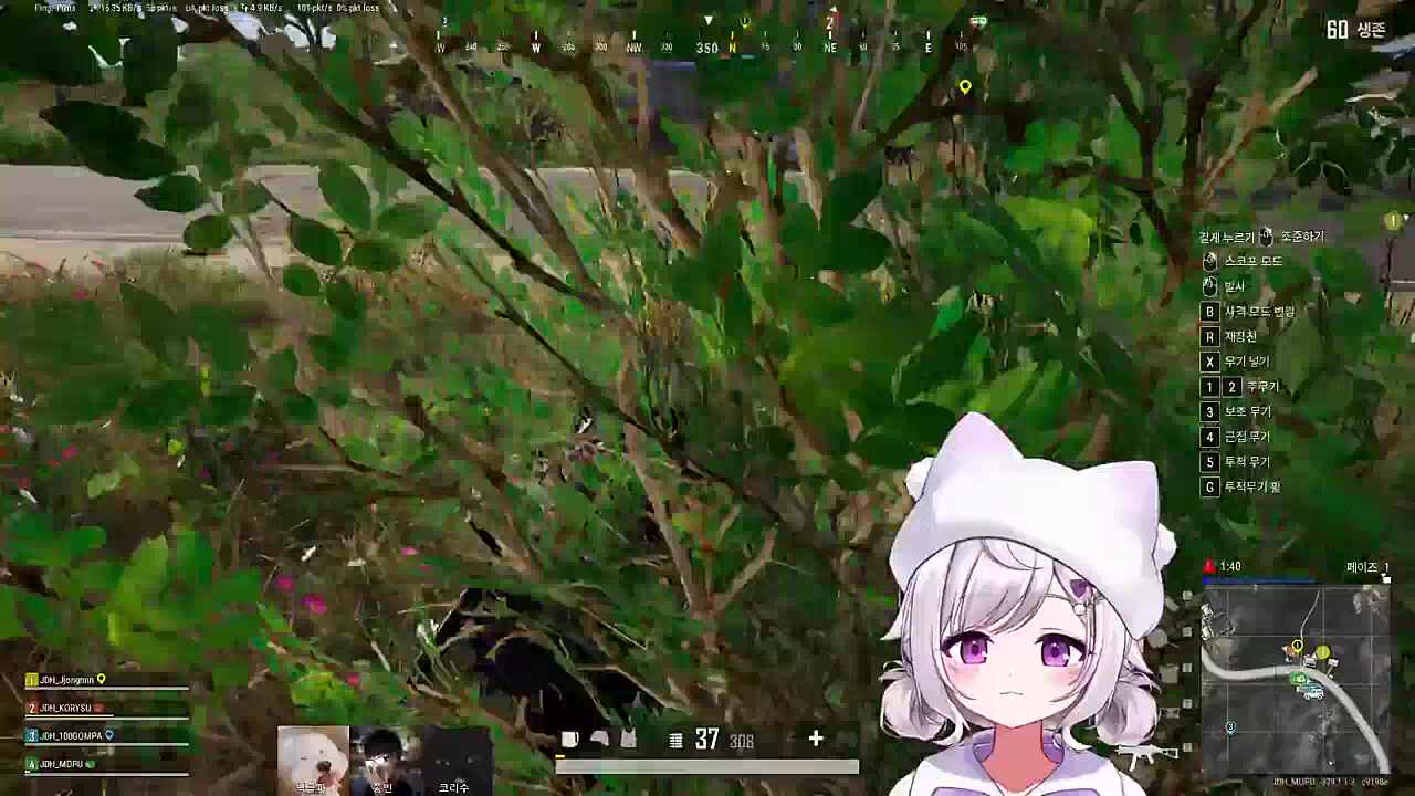 자낳대 PUBG