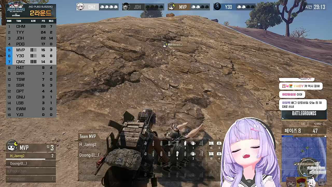 자낳대 PUBG
