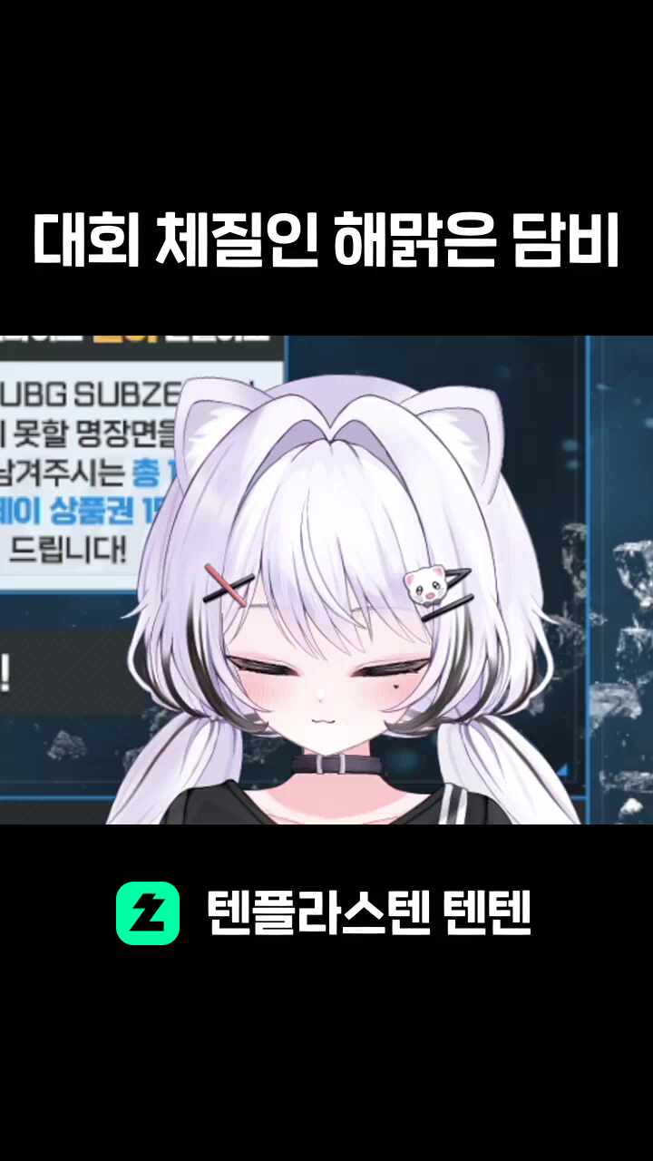 대회 체질인 해맑은 담비