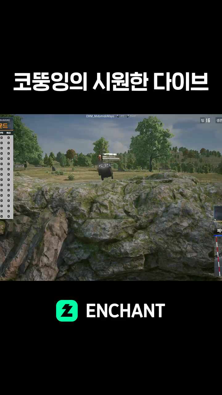 코뚱잉의 시원한 다이브