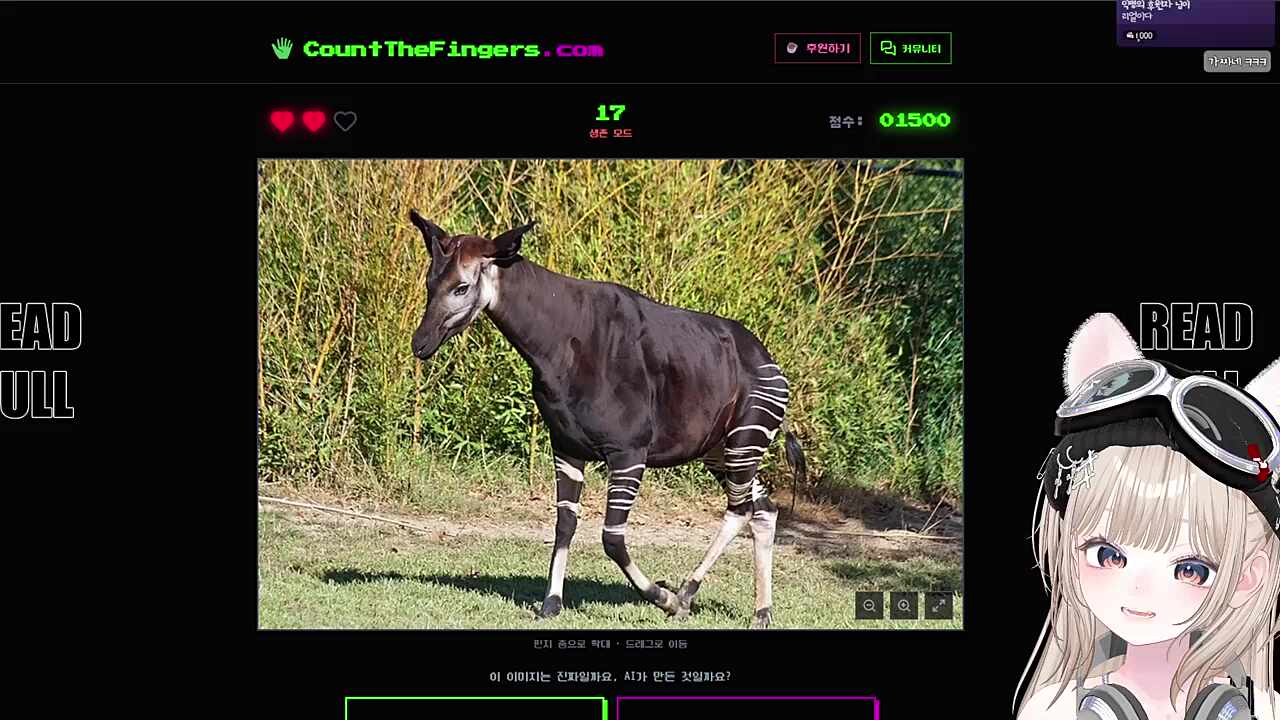 야한게 왜캐 많아 ㅡㅡ