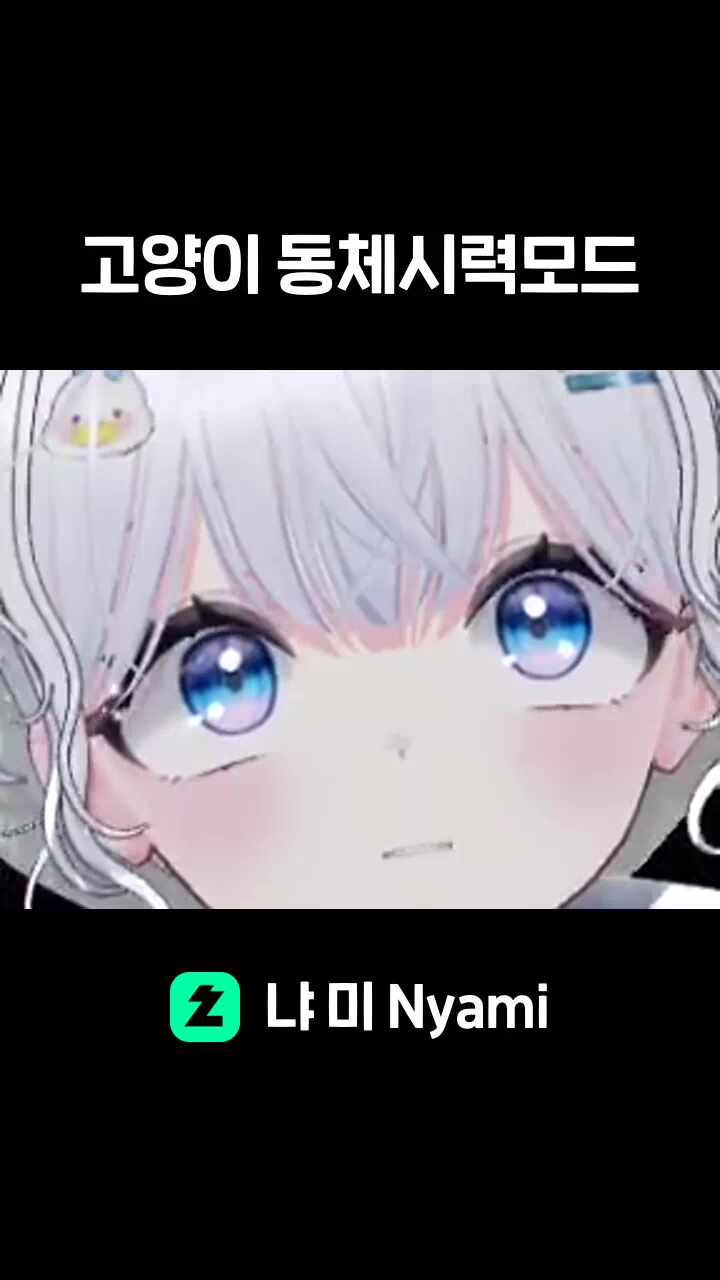 고양이 동체시력모드