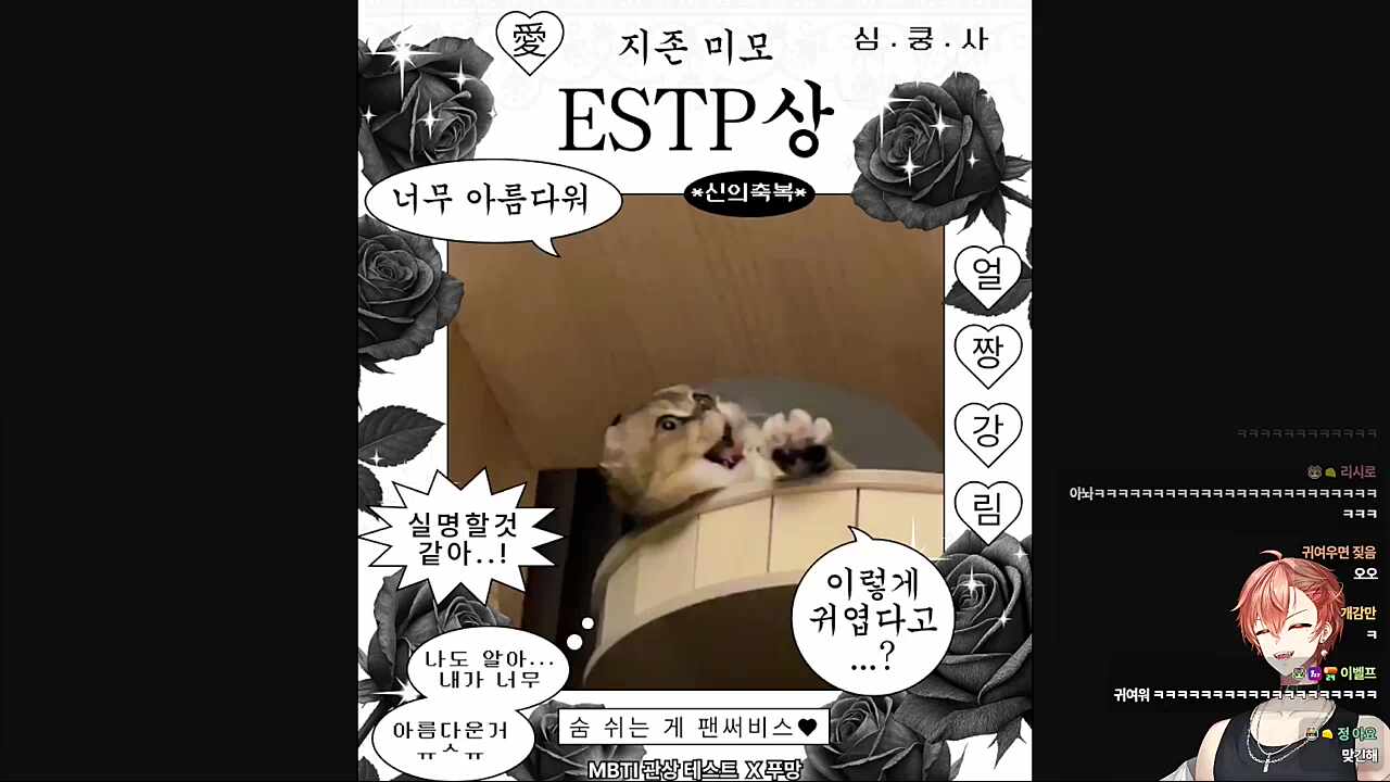 칸쵸 관상 테스트 결과🐹