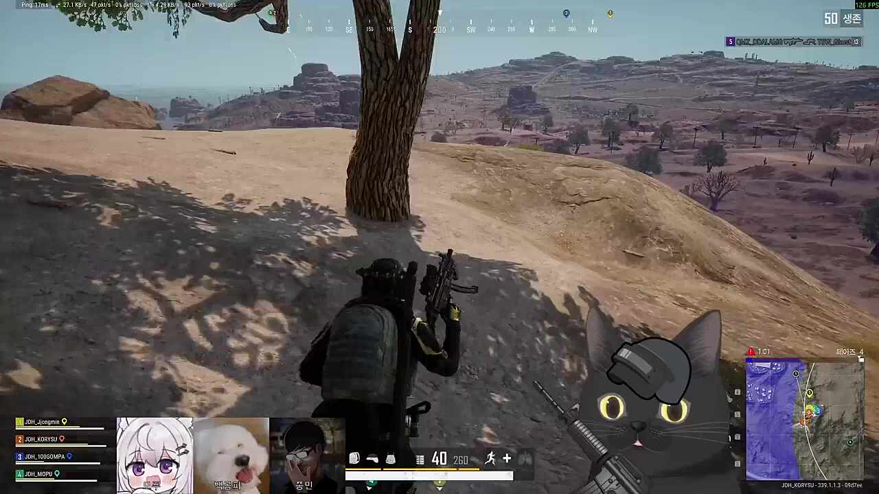 선생님에게 배운 걸 완벽히 써먹는 코냥