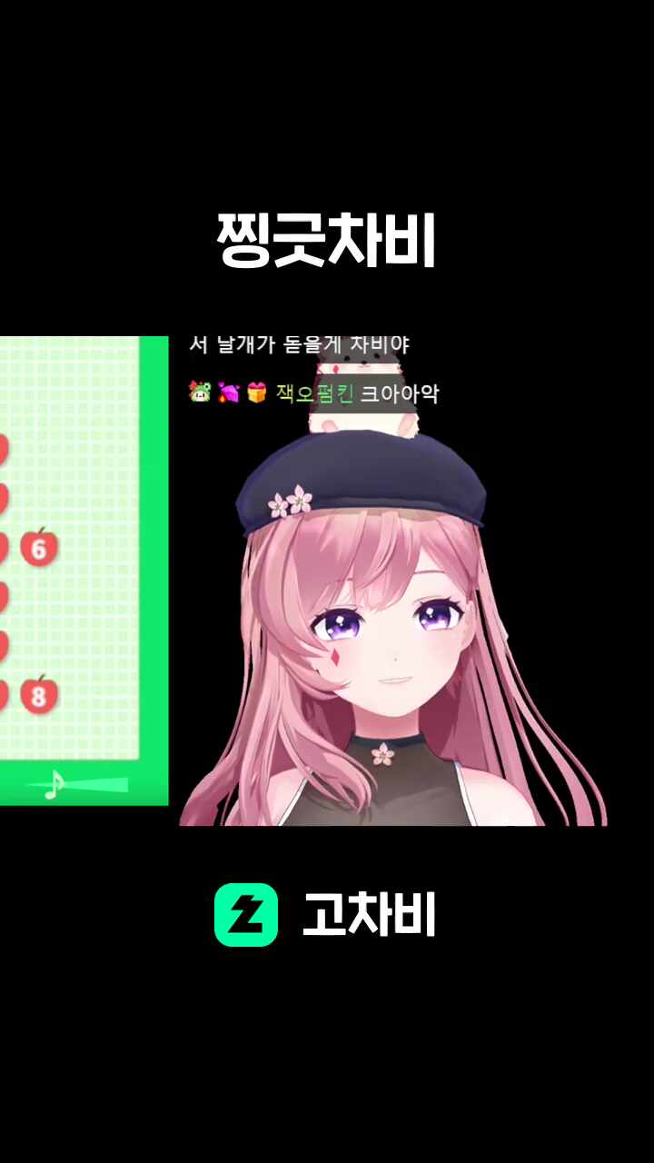 찡긋차비