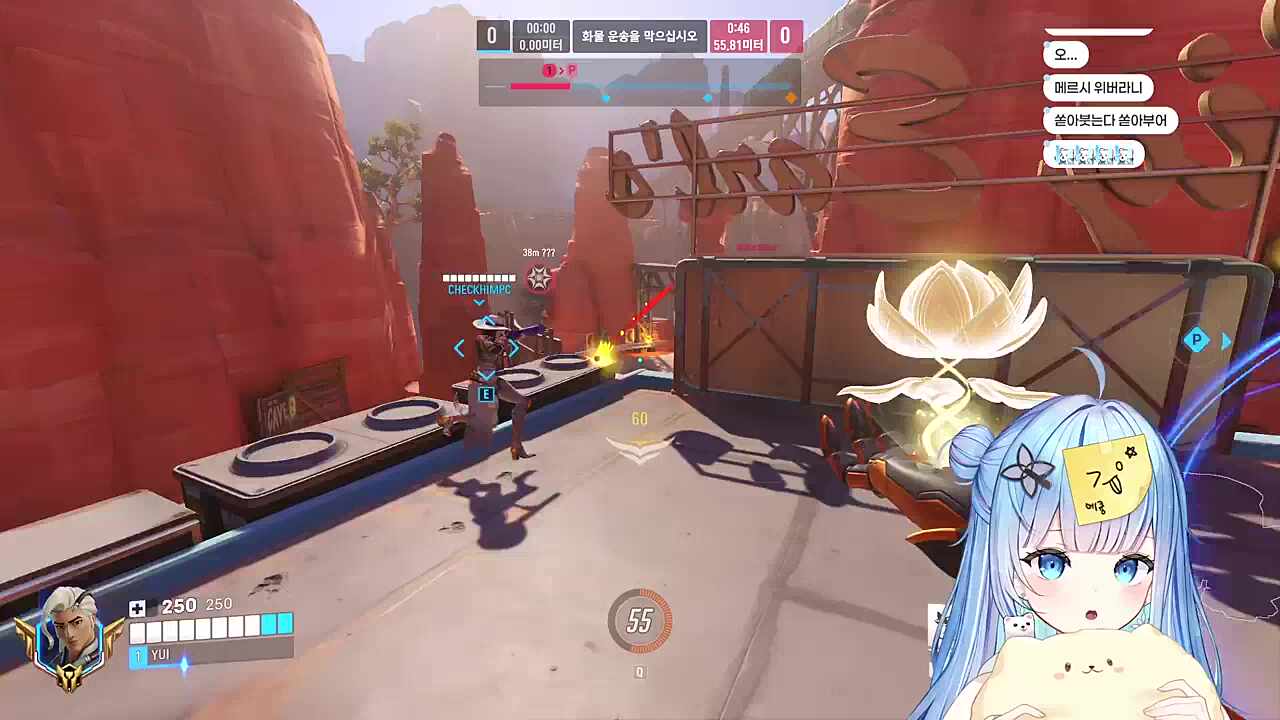 프로젝트 아이 허니즈 소속 담유이 오버워치 라이프위버 플레이