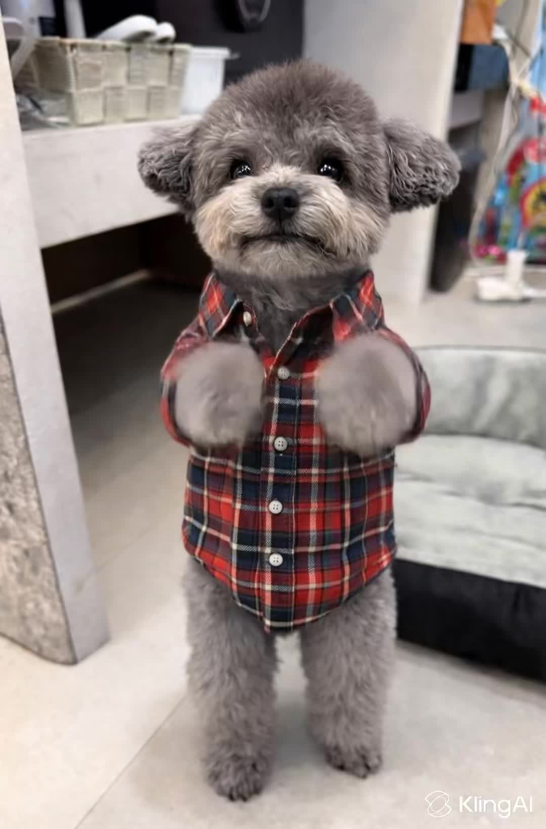 속초대게촌 2