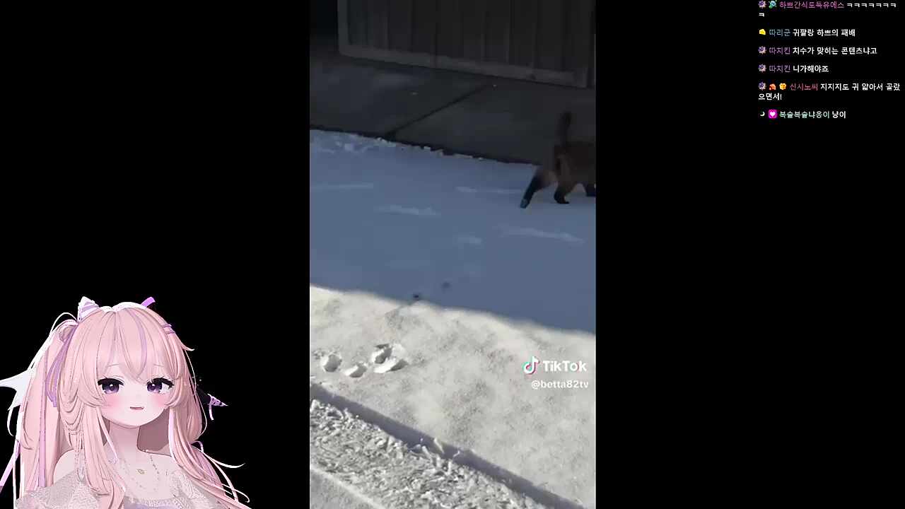 이건 무조건 진짜다