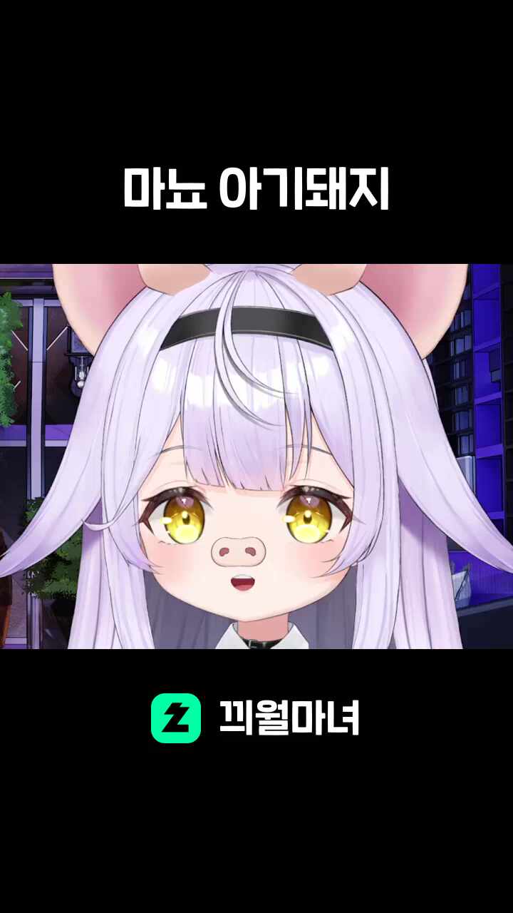 마뇨 아기돼지